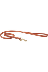 Weatherbeeta Rolled Leather Dog Lead 1001695 - Tan